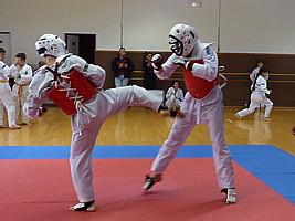p4370270.jpg