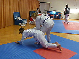 p4370330.jpg