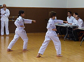 p4370569.jpg