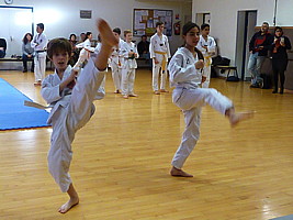 p4370579.jpg