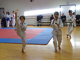 p4370591.jpg