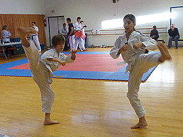 p4370633.jpg