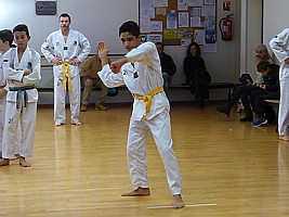 p4370662.jpg