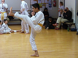 p4370745.jpg
