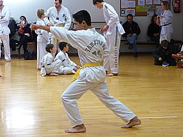p4370754.jpg