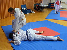 p4370822.jpg