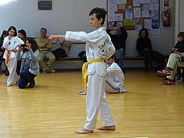 p4370899.jpg