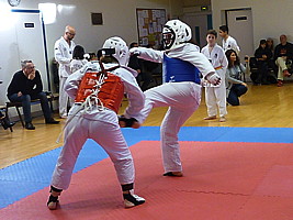 p4370994.jpg
