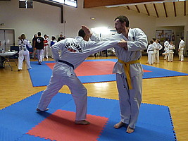 p4380099.jpg