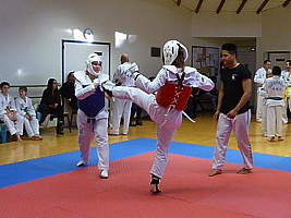 p4380269.jpg
