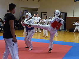 p4380386.jpg