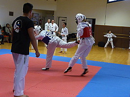 p4380390.jpg