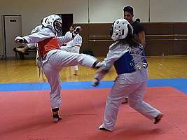 p4380433.jpg