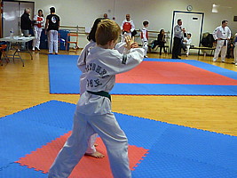 p4380548.jpg