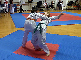p4380565.jpg