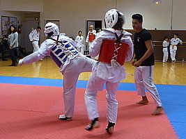 p4380740.jpg