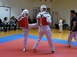 p4380886.jpg