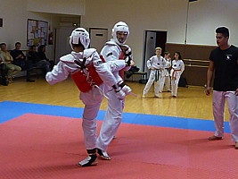 p4380930.jpg