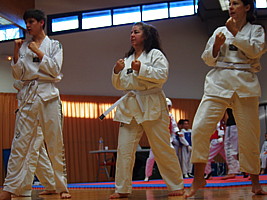 p4380972p1160535.jpg