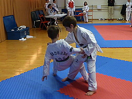p4390010.jpg