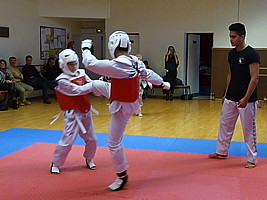 p4390087.jpg