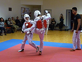 p4390092.jpg