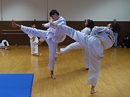 p4390118.jpg