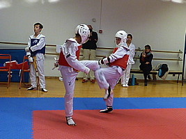 p4390132.jpg
