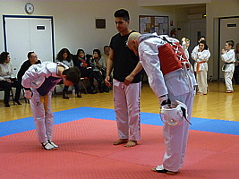 p4390213.jpg