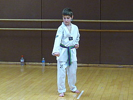 p4390377.jpg