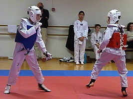 p4390492.jpg