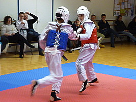 p4390523.jpg