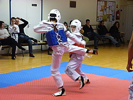 p4390525.jpg