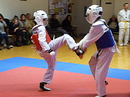 p4390539.jpg