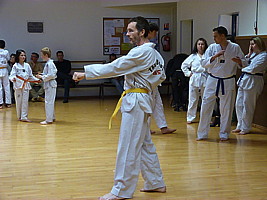 p4390678.jpg