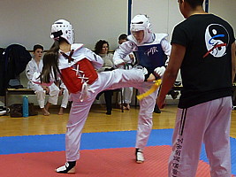 p4390786.jpg