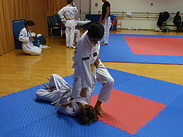 p4390939.jpg