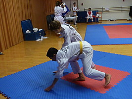 p4390996.jpg