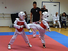 p4400546.jpg
