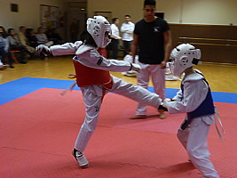 p4410546.jpg