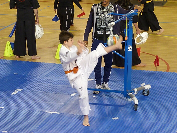 p4460280.jpg
