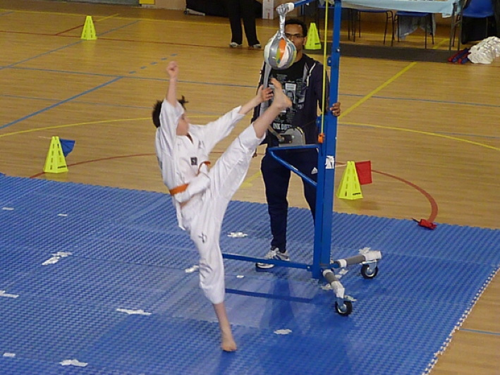 p4460579.jpg