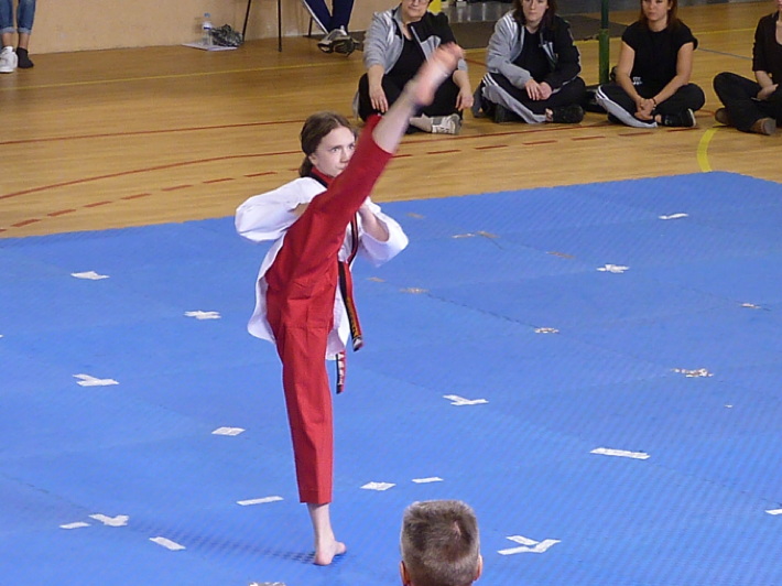 p4470112.jpg