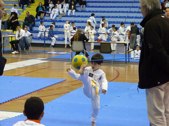 p4420708.jpg