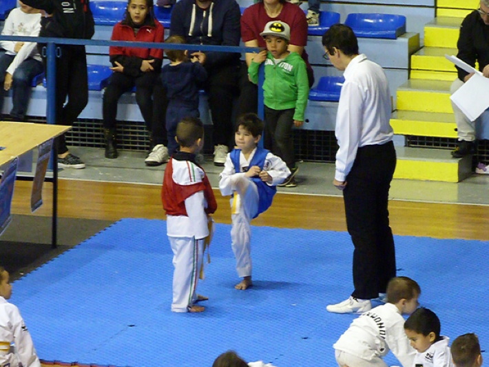 p4420872.jpg