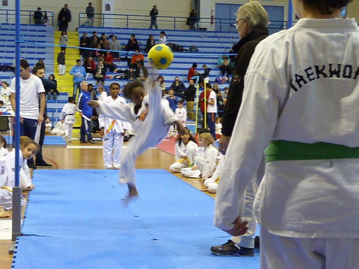 p4430300p4430294.jpg