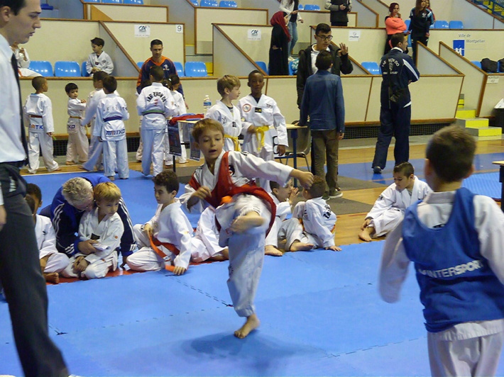 p4430482.jpg