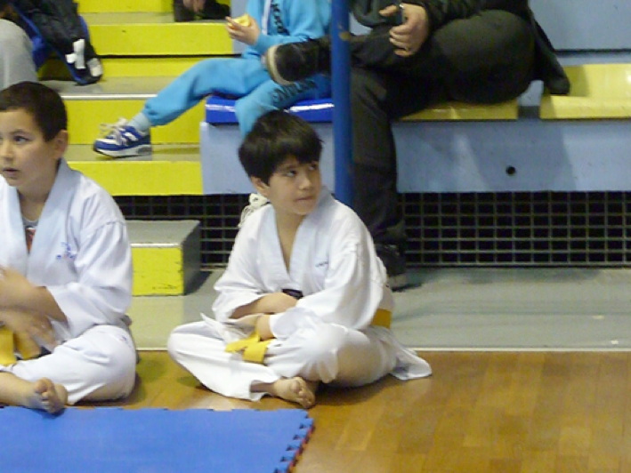 p4430678.jpg