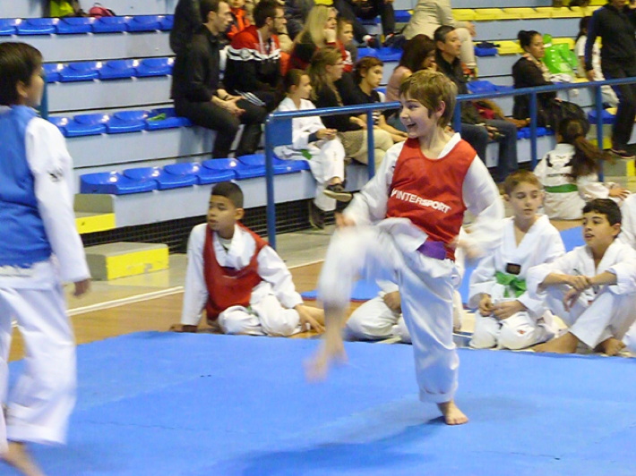 p4450372.jpg