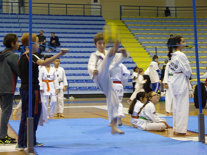 p4450431.jpg